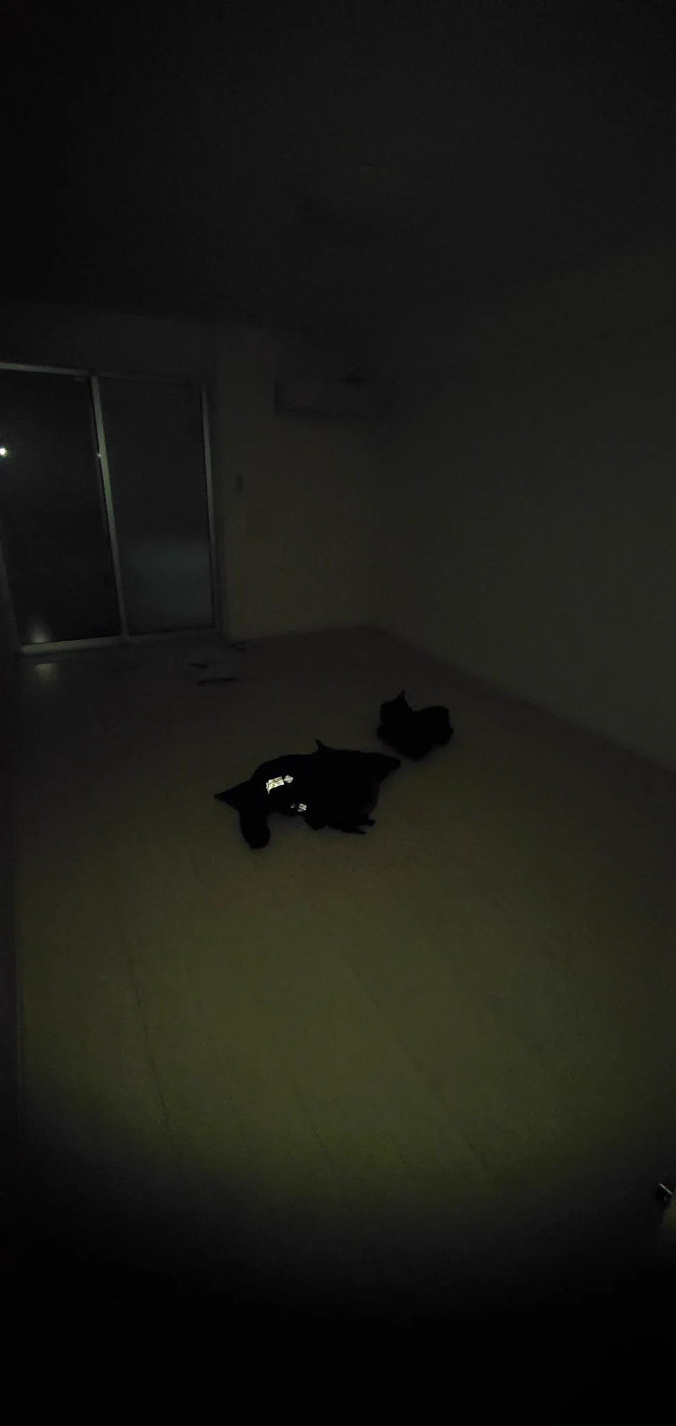 @LABYU_YOU 自分はたぬきちに申請するの忘れてて電気すら通ってませんでした。 