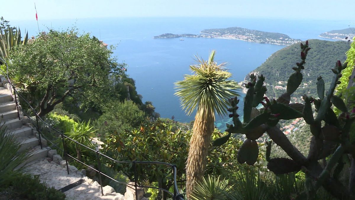 F3cotedazur's tweet photo. Découvrir le village d'Eze et son Jardin exotique comme vous ne les avez jamais vus : une idée de sortie depuis les Alpes-Maritimes et une partie du Var tout en respectant les 100km
► https://t.co/s9vze8xnE6 https://t.co/PIE5gY5Vhl