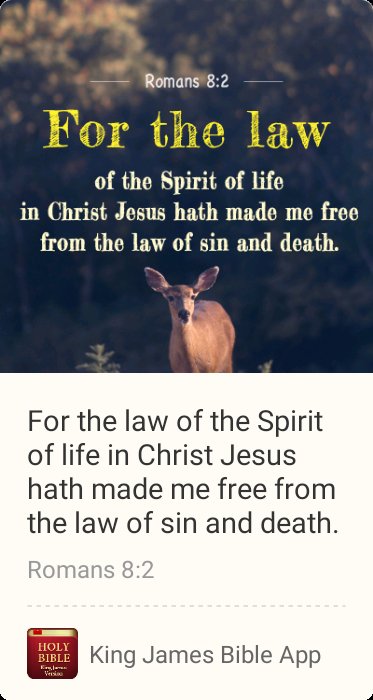 Donna Deranger (@donnaderanger) on Twitter photo 