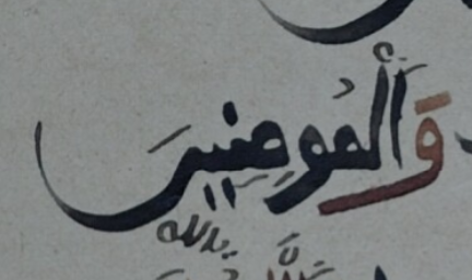 Another feature typical of Warš's reading is that he drops the hamzah if 1. it is the first root consonant of the word, and 2. a vowel precedes it. And indeed: al-mūminīn and al-mūmināt, but li-ruʾyati-hī.