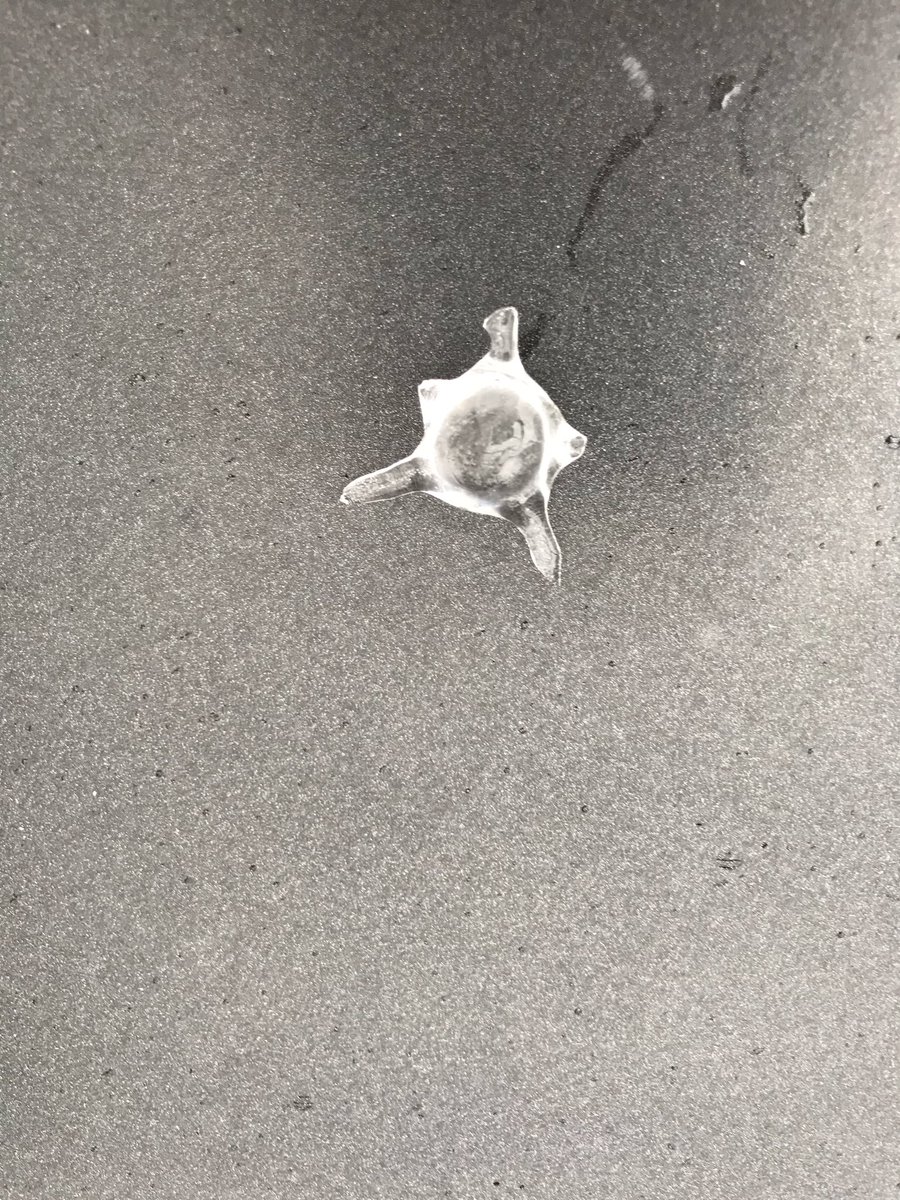 Aendexx's tweet photo. Sogar der Hagel hat sich was überlegt, um die Abstandsregeln einzuhalten! #Sachengibts #knappdererdolchungentkommen #naturehitsback https://t.co/Dh6K1wrzXw
