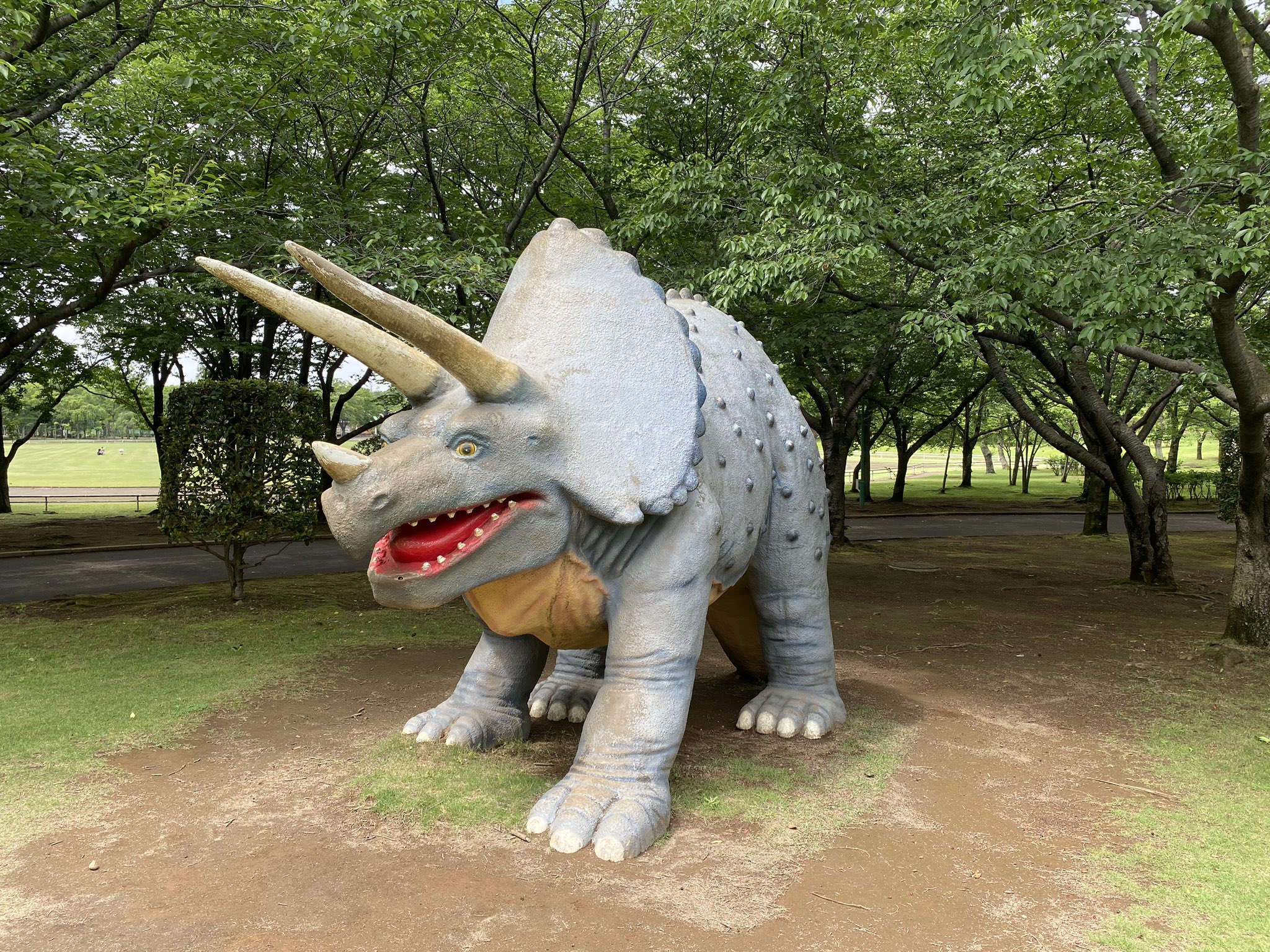 れいこだ ２ヶ月以上ぶりに孫たちと遠くの公園 と言っても県内 茨城県坂東市の八坂公園と前山公園まで行って来た T Co Dvtffgt6fp Twitter