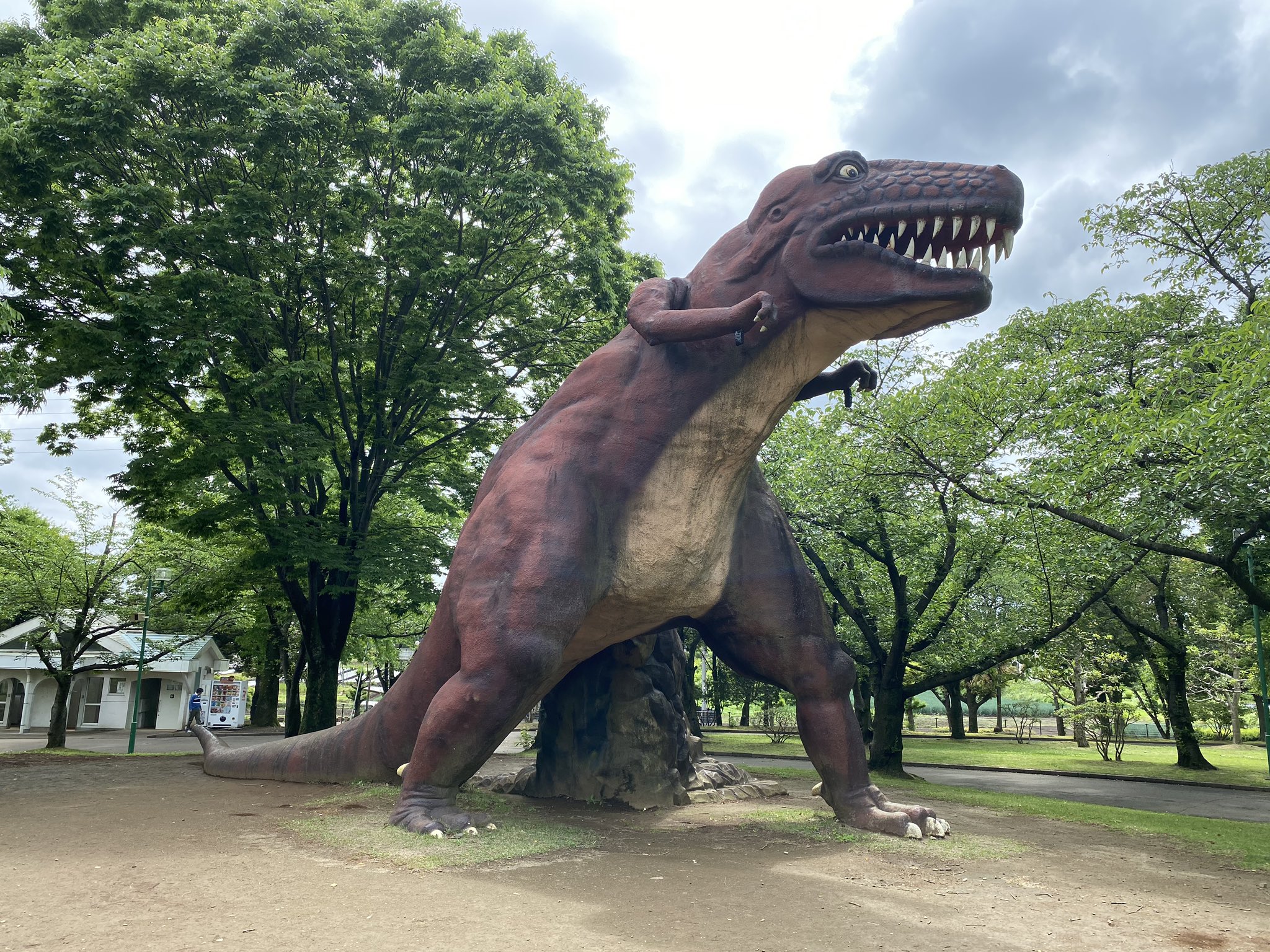 れいこだ ２ヶ月以上ぶりに孫たちと遠くの公園 と言っても県内 茨城県坂東市の八坂公園と前山公園まで行って来た T Co Dvtffgt6fp Twitter