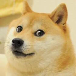 @momopoi 「ふっ、俗物め。」チラッ 