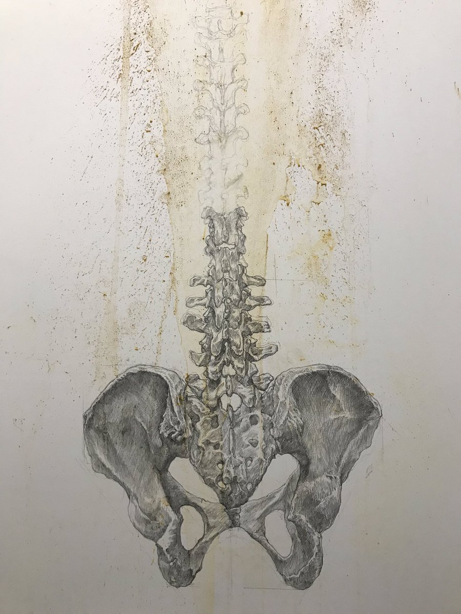 Artistic anatomy スケッチ
またほんの少し進めた
#美術解剖学 