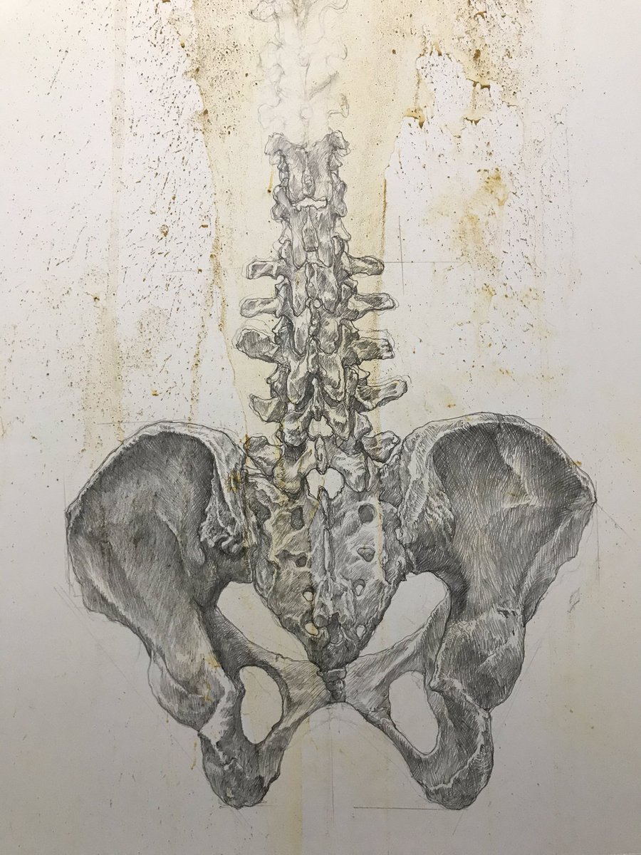 Artistic anatomy スケッチ
またほんの少し進めた
#美術解剖学 