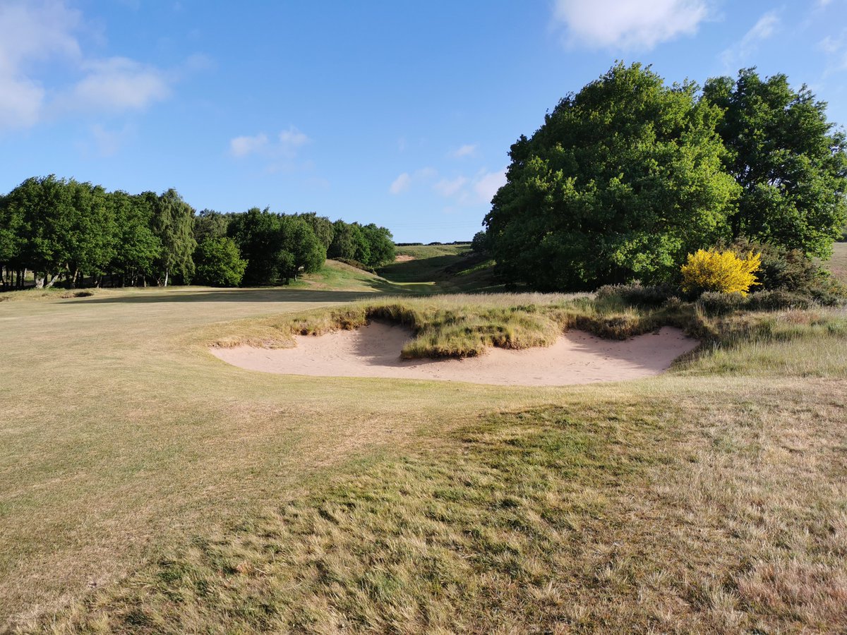 Going to be tough out here this morning, dry and windy @nottsgolfclub #heathland