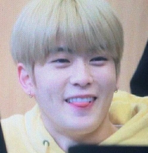 👤 제현바보