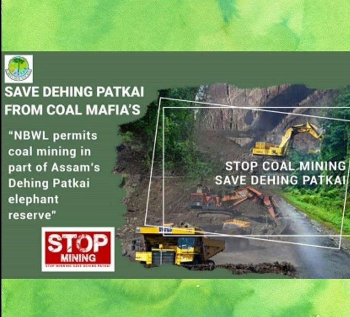 ritujhaofficial's tweet photo. Save the Amazon of East
#Dehing_Patkai
From Coal Mafias
#I_am_dehing_patkai
We #the_people of #assam, request you @PMOIndia
Save us, save the only rainforest of Assam.  #wildlife #savewildlife #savenature #savefuture 

https://t.co/9wXVLf2zRE https://t.co/uZgImH17q3