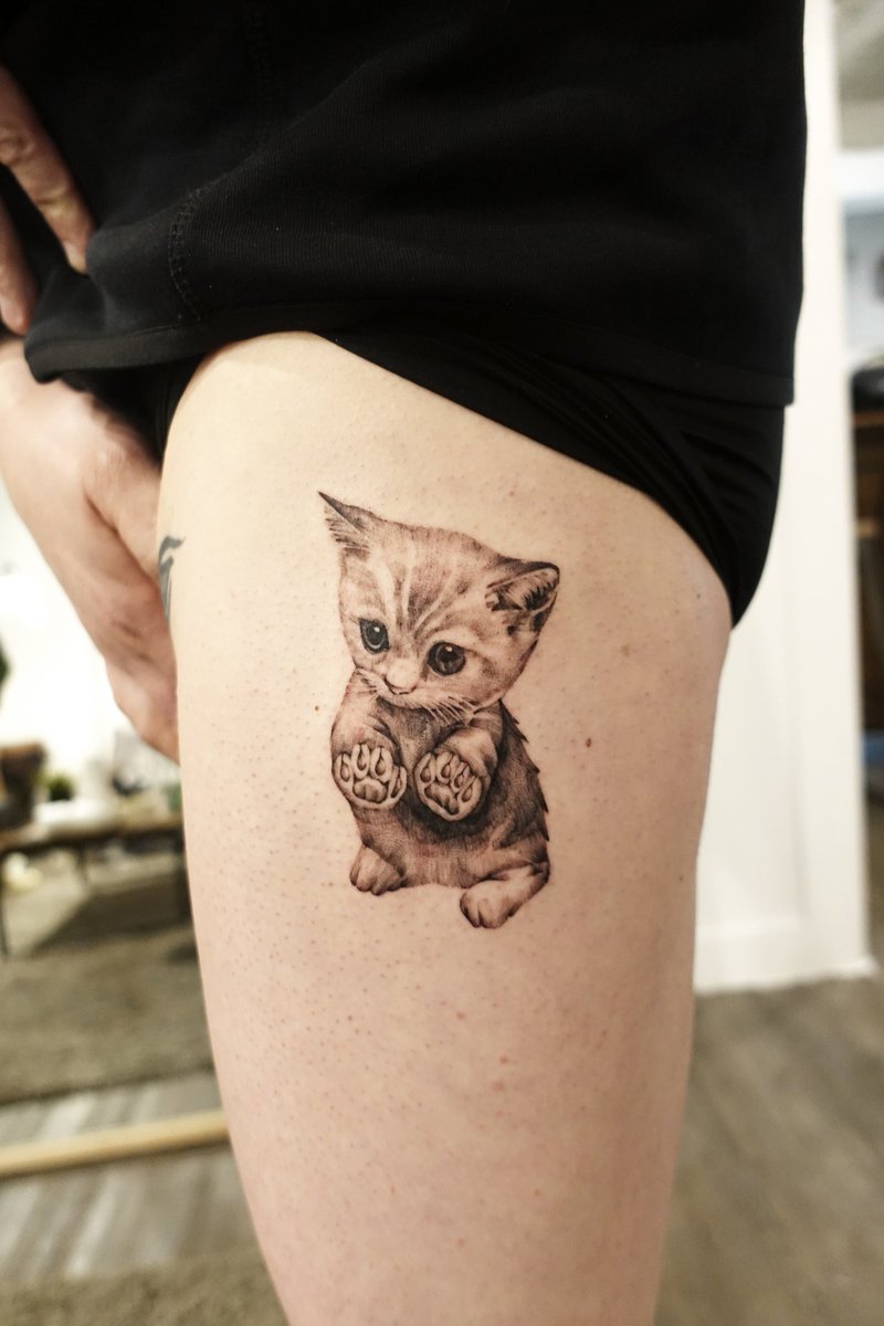 TattooYuni's tweet photo. kitten
.
.
.
@yuni_tattoo 
#아기고양이 #kitten #고양이타투 #babycat #블랙엔그레이 #blackandgrey #감성타투 #동물타투 #tattoo #tattooist #서울타투 #강남타투 #seoul #cat #chat #gangnam #cute #lovely https://t.co/ACVrCe84LR