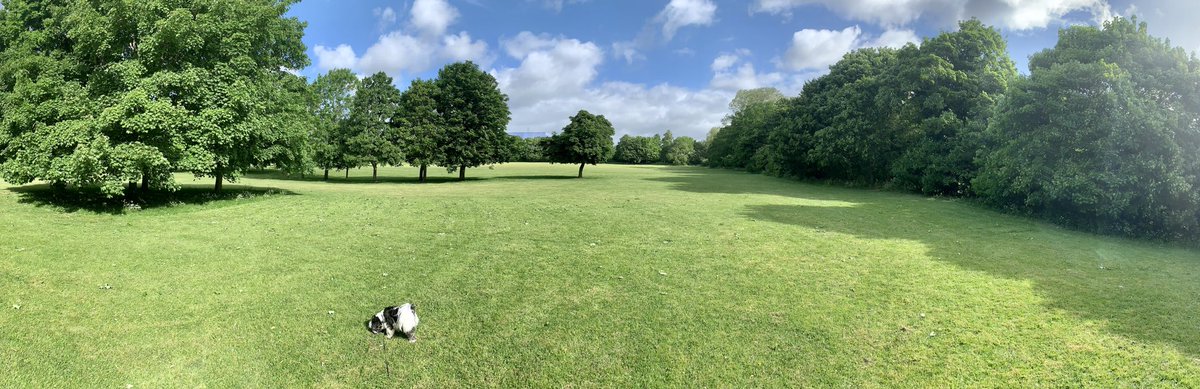 barold1967's tweet photo. Park and fields were empty this morning, nice but a wee bit windy 💨 🐶 https://t.co/xxJf2RfezX