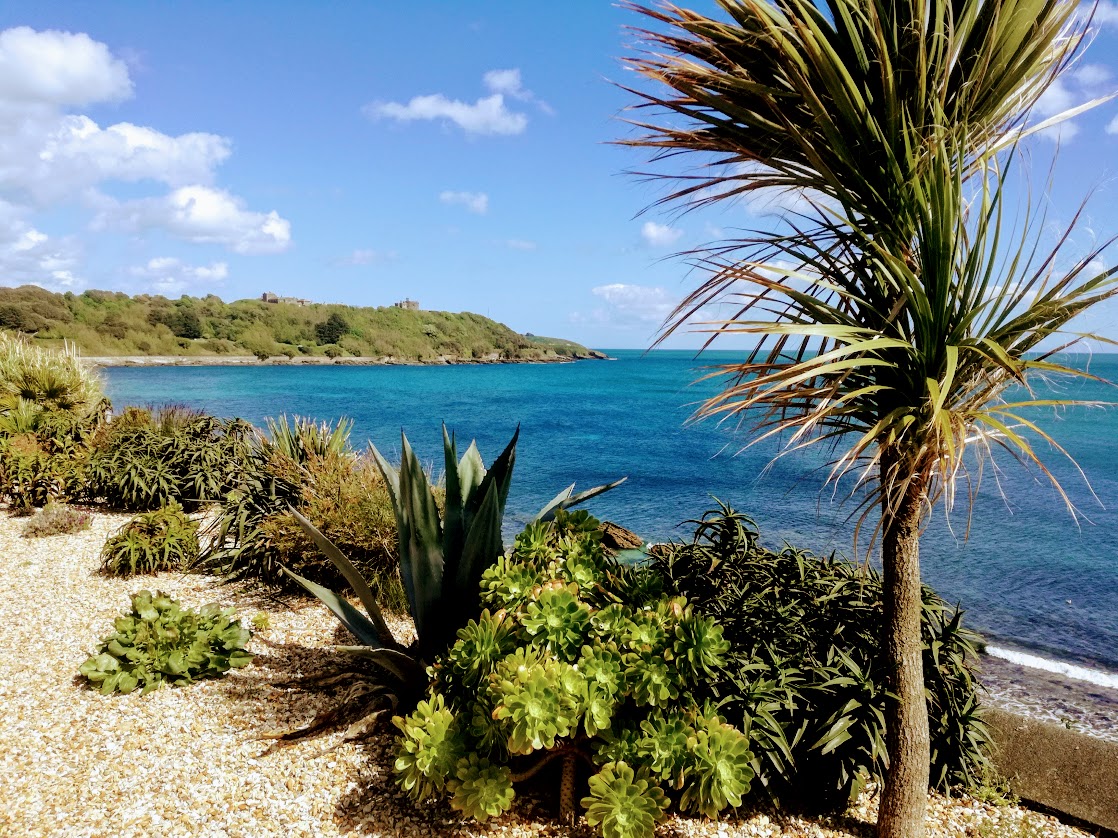 barrywills's tweet photo. Join us in beautiful Falmouth next year for #IntegratedMinPro21 and #PhysicalSeparation21 https://t.co/eG846wUIwc @im_mining @cornwall_mining @ceecthefuture @BuntingRedditch @ProMet101 https://t.co/SnpsELHuxG