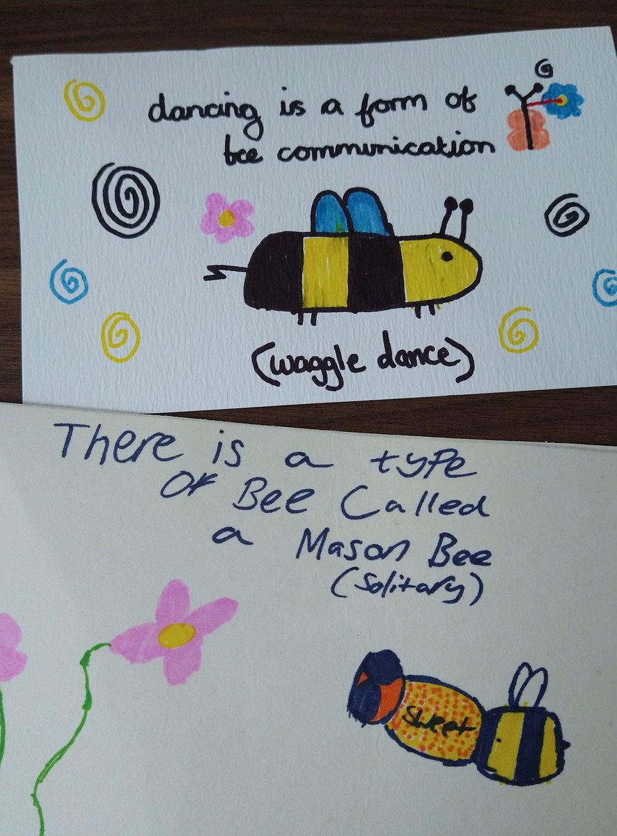 beekeepingkids's tweet photo. Thank you so much to the children & #Twitter #beekeeping friends who have sent postcards in for our bee hide, 'bee-rilliant!' they will be a wonderful way to 'decorate & educate' at the same time!! PLEASE keep them coming, #fabfacts 🙏 @EastLancsBees @britishbee @BeekeepersHour https://t.co/hDYhY4FSkx