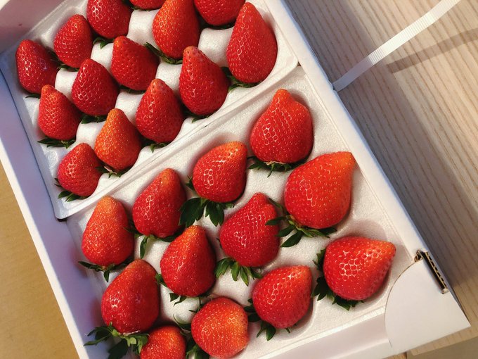 稲垣来泉のTwitter画像2