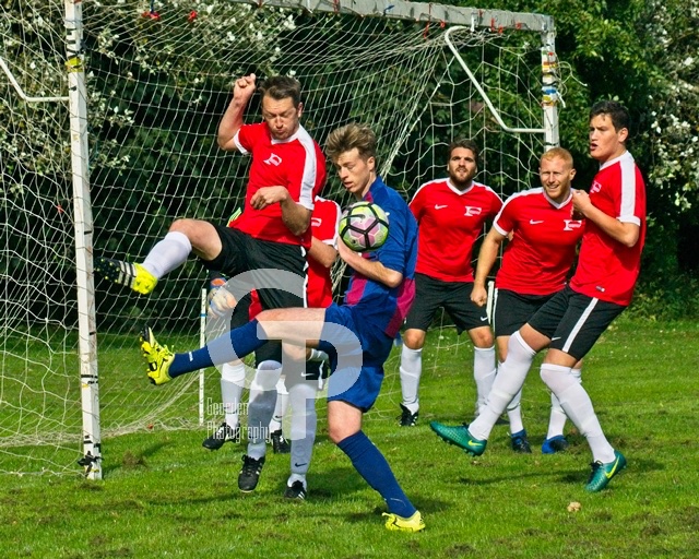 George Davidson tweet media