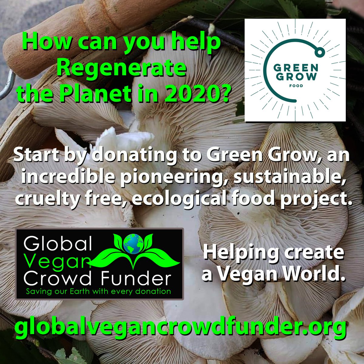 📢Calling all vegans. Do you think about how we replace the current food &amp; packaging system? 

These people are. Please read their story &amp; lets all help them grow a business of sustainable, nutritious food using waste

globalvegancrowdfunder.org Saving Our Earth With Every Donation