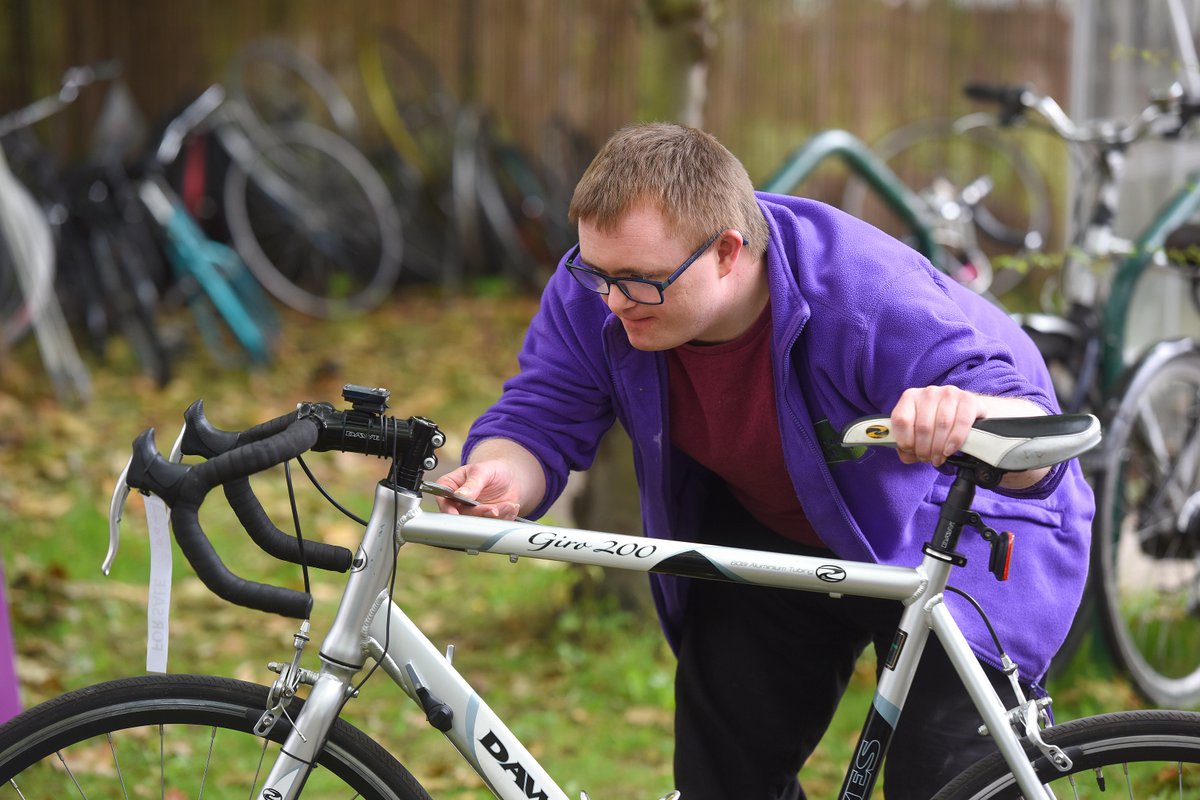 owl bikes