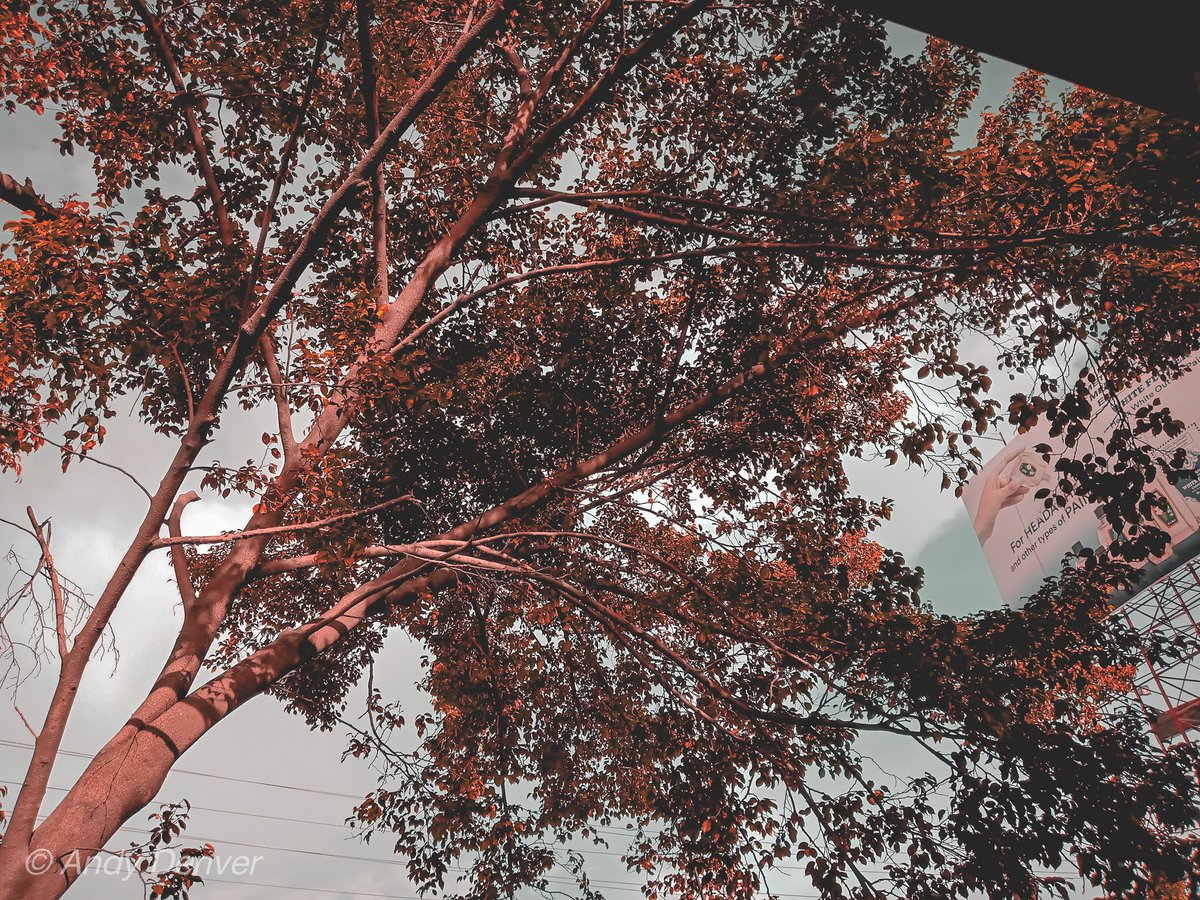 andydenver_'s tweet photo. alas singko na ng hapon... (bored)
📷 𝔄𝔫𝔡𝔶
#Redtone 🍁❤
#lightroompreset
#samsunggalaxy https://t.co/q5MSeRUrZ6