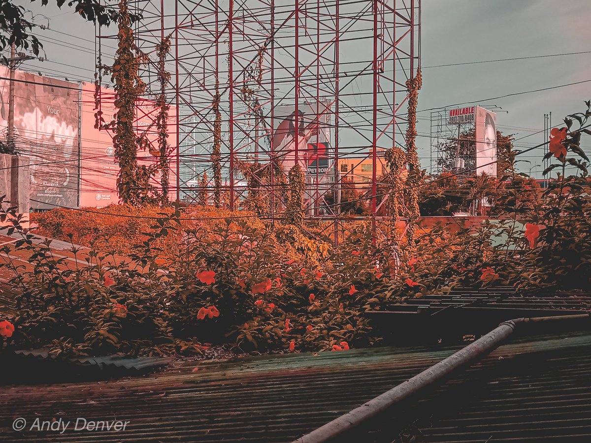 andydenver_'s tweet photo. alas singko na ng hapon... (bored)
📷 𝔄𝔫𝔡𝔶
#Redtone 🍁❤
#lightroompreset
#samsunggalaxy https://t.co/q5MSeRUrZ6