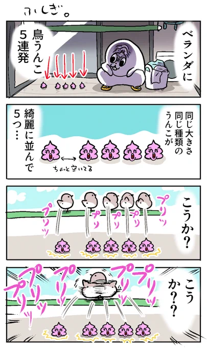 5連の謎 