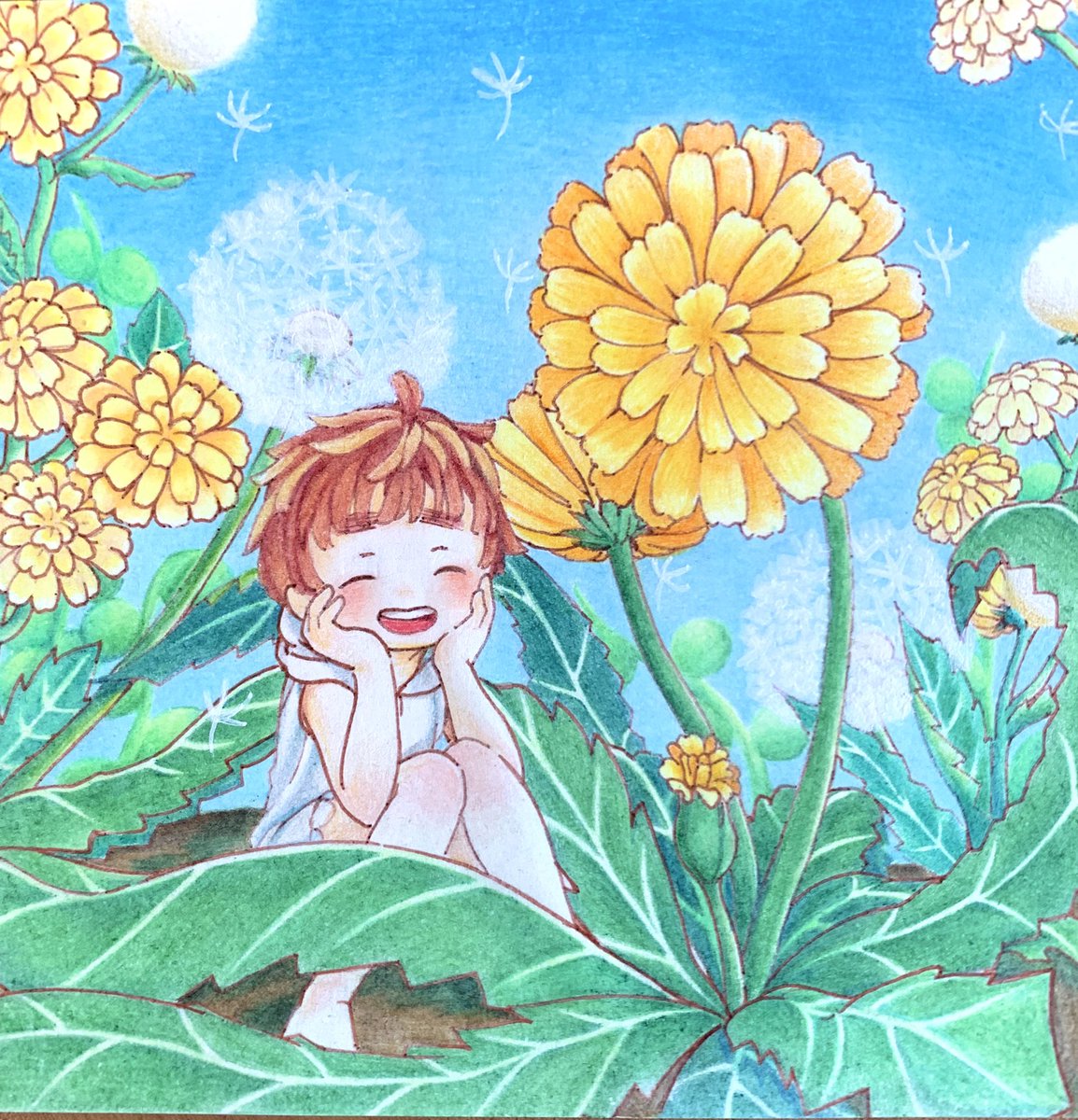 かなん たんぽぽ 色鉛筆 色鉛筆イラスト 絵 Art 花 春の花 イラスト好きな人と繋がりたい たんぽぽ 綿毛 春