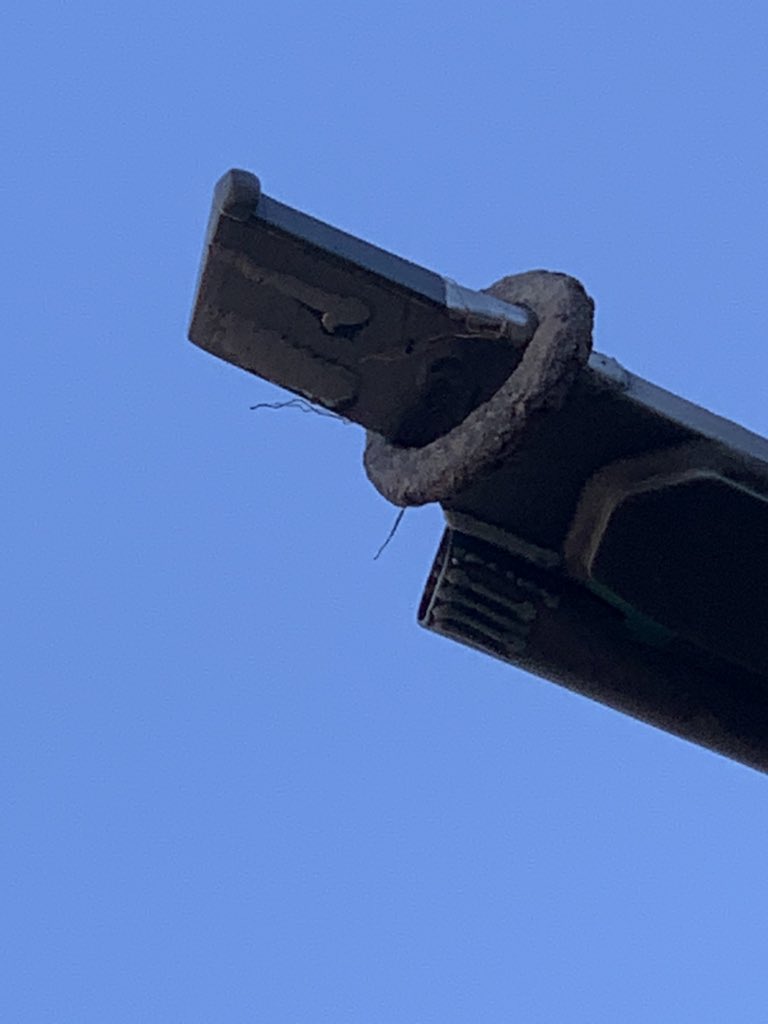 I must love the Boss!!! #bossag #bossagriculture #putaringonit