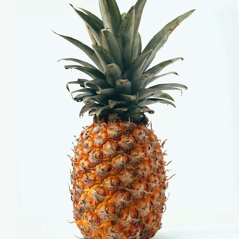 jacob as pineapple