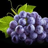 sunwoo as grapes