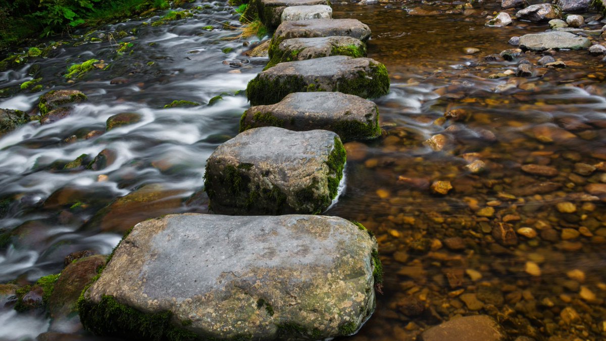 This week on Wonkhe: Universities UK President Julia Buckingham calls on vice chancellors to demonstrate leadership in committing to mentally healthy universities. @UniversitiesUK buff.ly/2WR7wCa