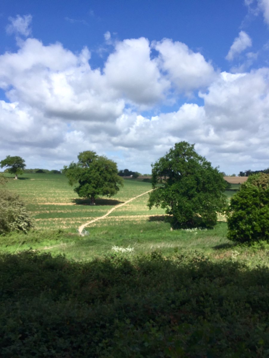 robinsoncalver's tweet photo. Virtual mission to run 90 miles along Hadrian’s Wall ✅ Thank you #conquererchallenge for the motivation! #trailrunning #essexway https://t.co/EVL1hr9l2Q