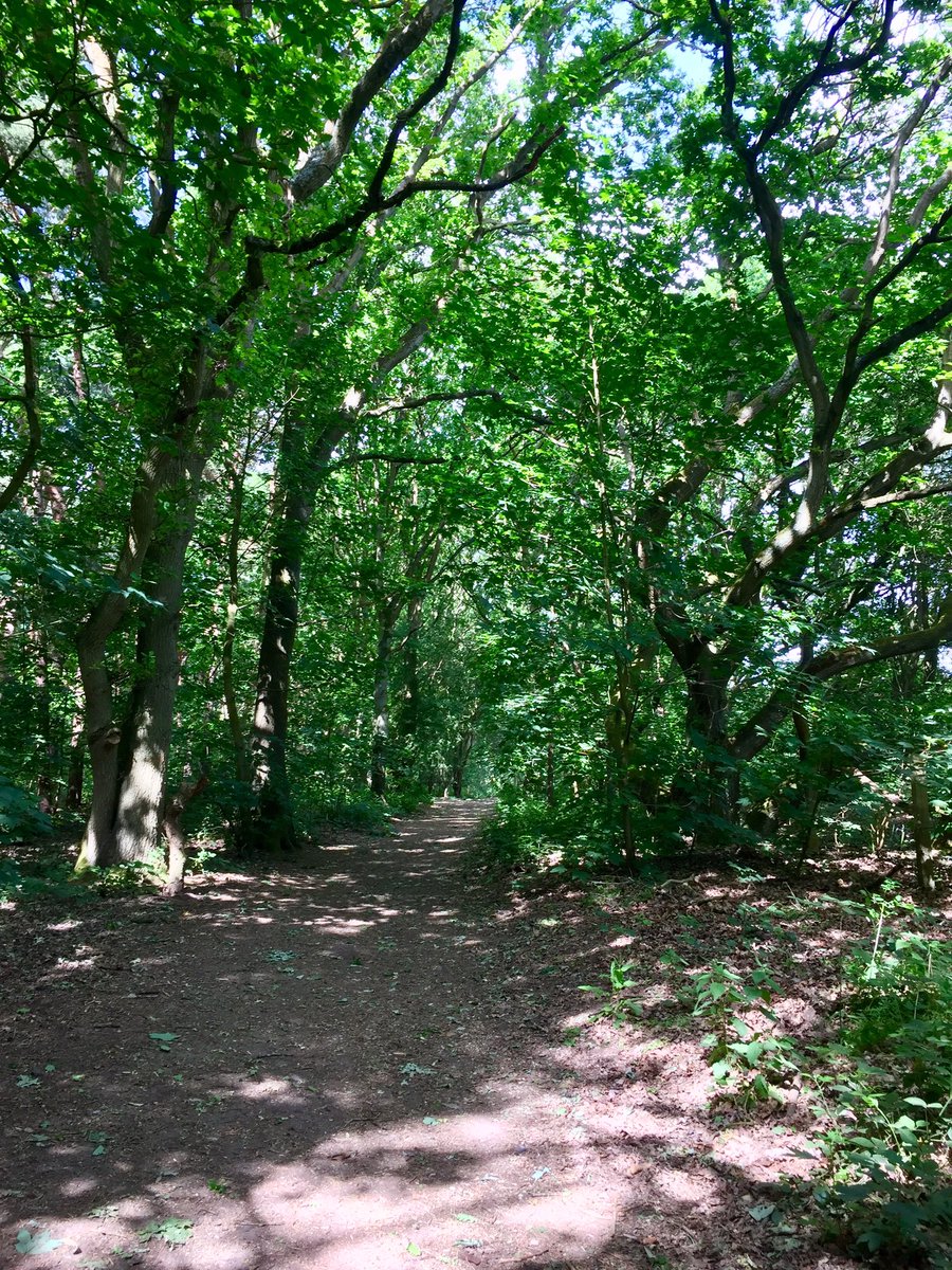 robinsoncalver's tweet photo. Virtual mission to run 90 miles along Hadrian’s Wall ✅ Thank you #conquererchallenge for the motivation! #trailrunning #essexway https://t.co/EVL1hr9l2Q