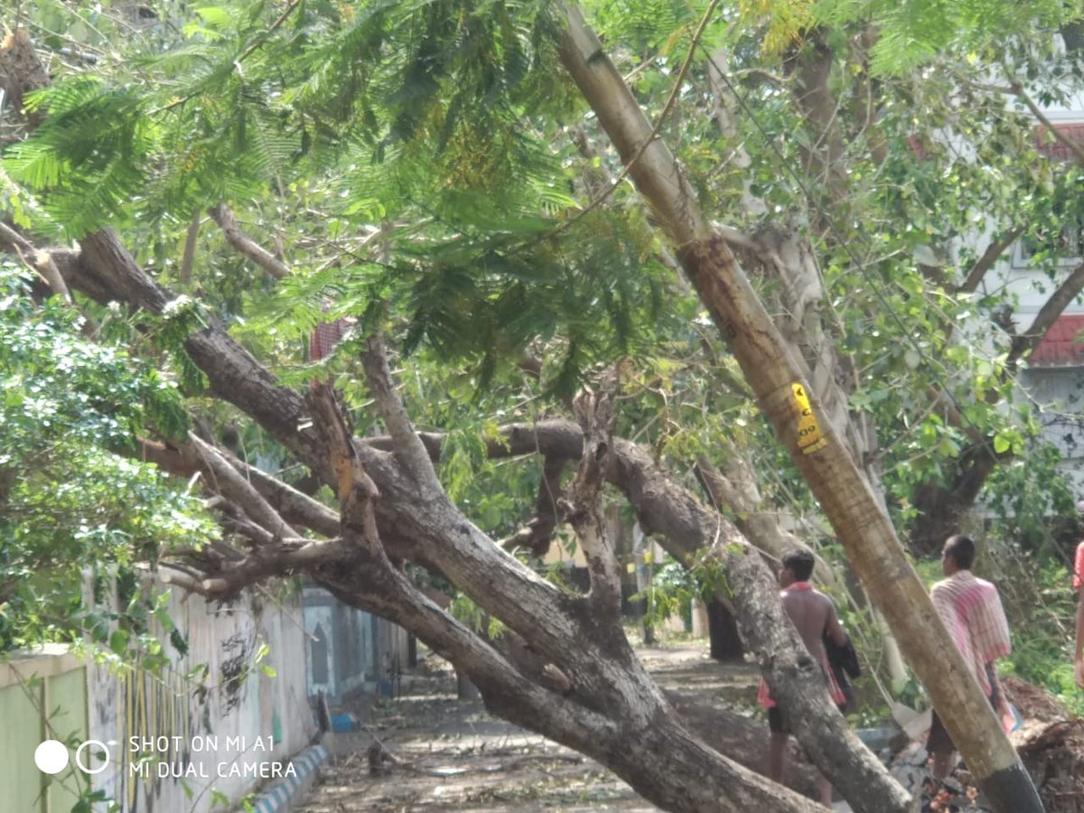 sudipta069's tweet photo. #kolkatamunicipalcorporation #cesc please see the condition of #surveypark #wardno109 #santoshpur  ...we all understand people are working day and night ..we are using our own resources and people to clean and cut trees post which we can think #KMC #mimichakraborty https://t.co/JgDHZLcMz5