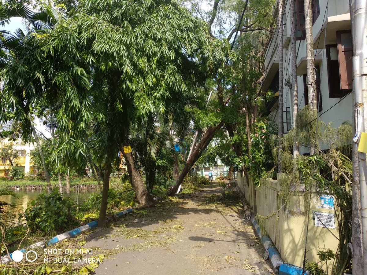 sudipta069's tweet photo. #kolkatamunicipalcorporation #cesc please see the condition of #surveypark #wardno109 #santoshpur  ...we all understand people are working day and night ..we are using our own resources and people to clean and cut trees post which we can think #KMC #mimichakraborty https://t.co/JgDHZLcMz5