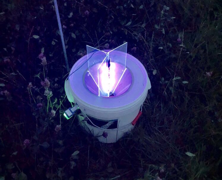 attjemeekma's tweet photo. Nachtvlinders zijn bijzonder boeiend. En omdat ik meedoe aan de #BIMAG monitoring, weet ik wat er zoal vliegt in het boerenland. Nu o.a. deze spanners 🦋
#witte_grijsbandspanner
#groenbandspanner
#moeraswalstrospanner
#boerenmeteninsecten
#nachtvlinders🌙
#insectenopdeboerderij https://t.co/0rrny3tJsK