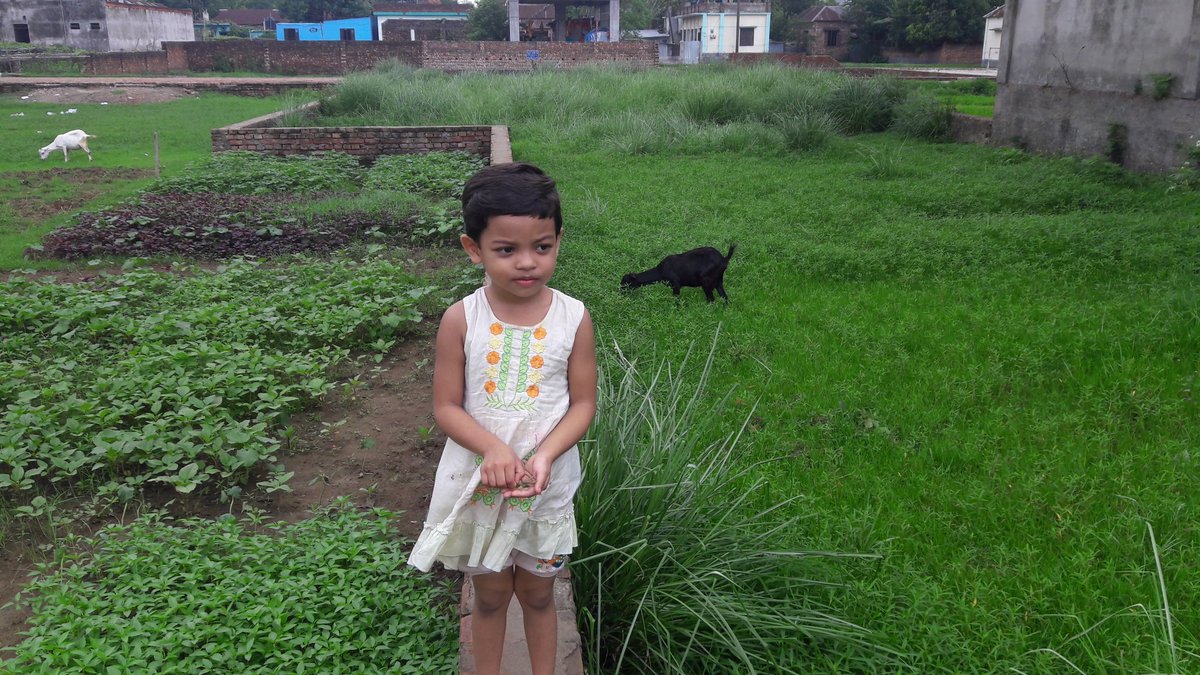 Kafial4's tweet photo. নির্মল প্রকৃতি https://t.co/hizZp7BlJd