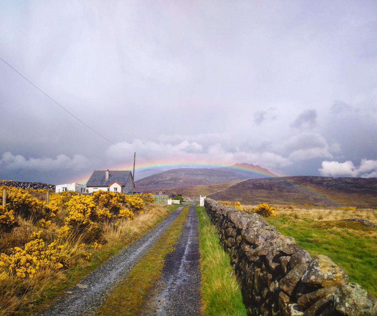 Beautiful Mourne Mountains, Co Down, N  #Ireland. Mournes are made up of 12 mountains with 15 peaks & include the famous Mourne wall (keeps sheep & cattle out of reservoir)! Area of Outstanding Natural Beauty. Partly  @NationalTrustNI.Daniel Mcevoy (with lovely cats!)  #caturday