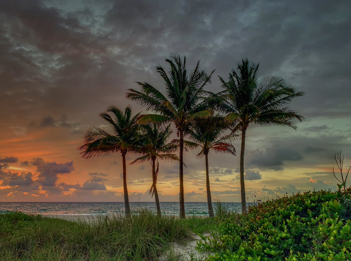 Fort Lauderdale Sun tweet media