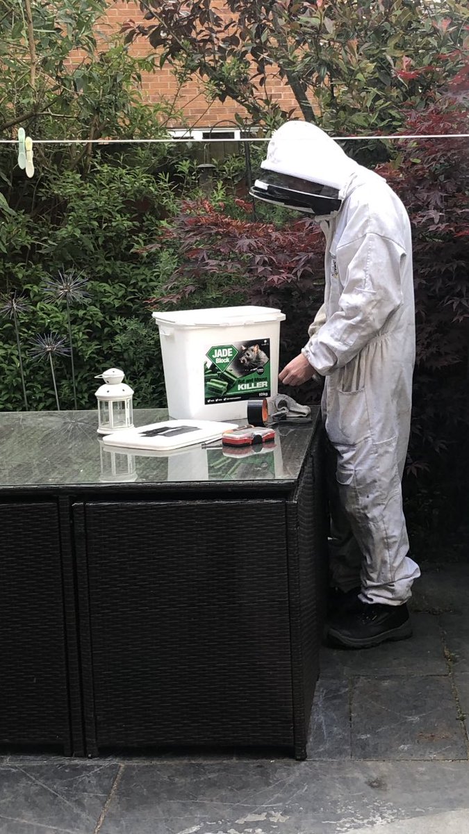 helendownie's tweet image. Thought I had a wasps nest turns out they were Bees 🐝 #problemsorted  👍🏼