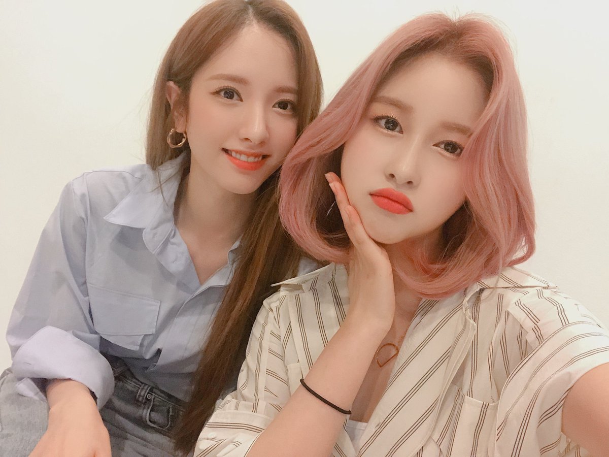 WJSN_Cosmic's tweet photo. [#우주소녀 #다영]
오늘의 임다영들🐢🐢
우정 오랜만에 만나서 반가웠어요
신나쪄 
이건 우정들한테 주는 선물이얌..!!
-지연이다영이올림- https://t.co/pFCGjP1jTi