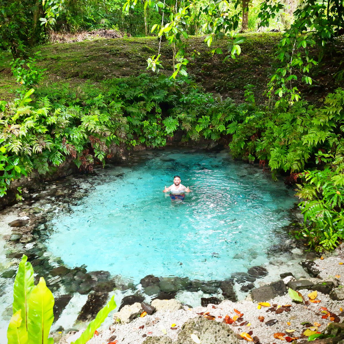 Fatboys Resort Solomons Islands tweet media