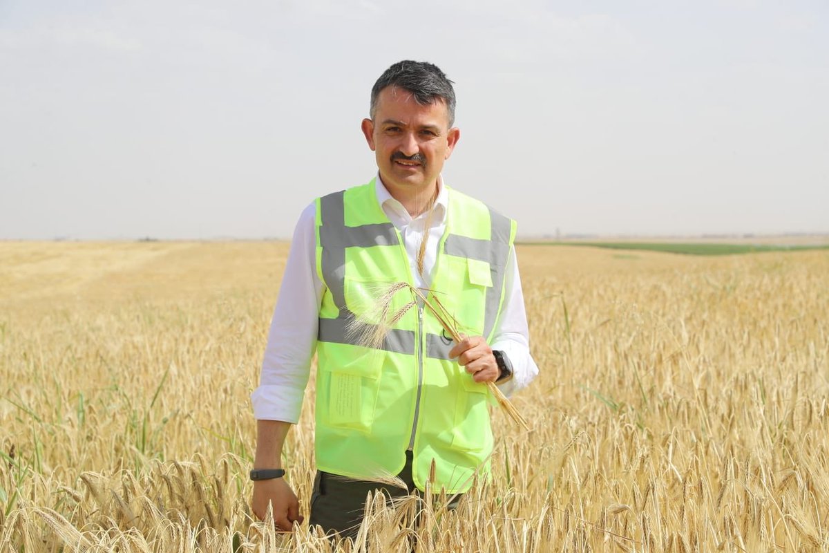 bekirpakdemirli's tweet photo. Tarımın başladığı topraklarda, #Şanlıurfa’da arpa hasadımızı yaptık. 

Emektar ve çalışkan #çiftçilerimiz, hasadınız bereketli, kazancınız bol olsun inşallah. https://t.co/T5SSxpViEQ
