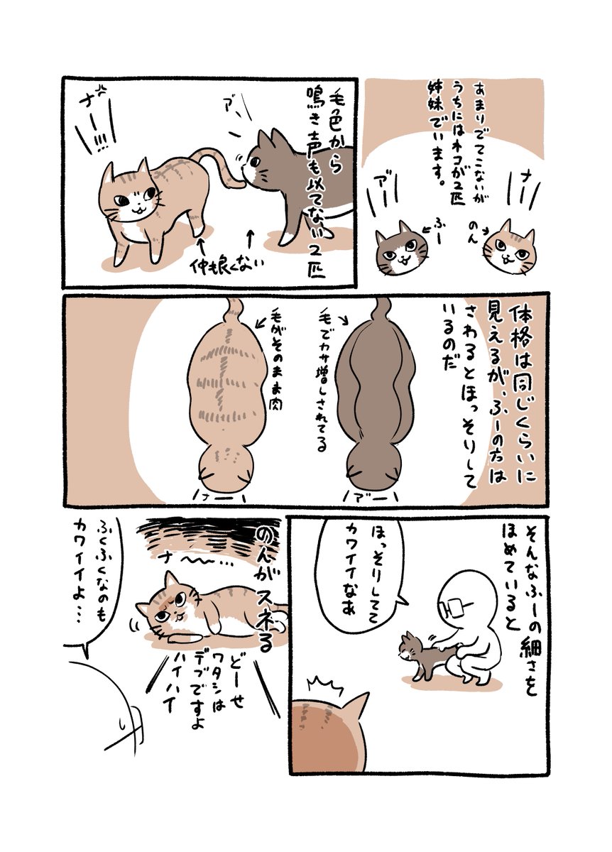 女子の肉は宝
#コミックエッセイ #日記 