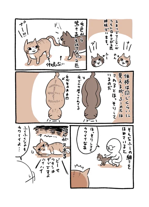 女子の肉は宝
#コミックエッセイ #日記 