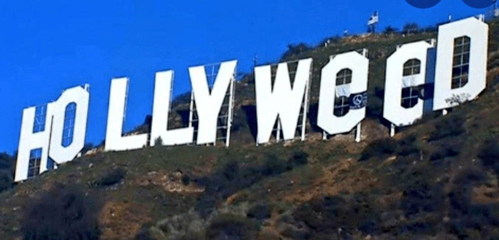 California introduced a more relaxed marijuana law and on 1st January 1976, Danny Finegood turned the sign from Hollywood to Hollyweed to commemorate this occasion.He hung curtains over the last two O's on the sign to create the effect. #California  #Hollywood