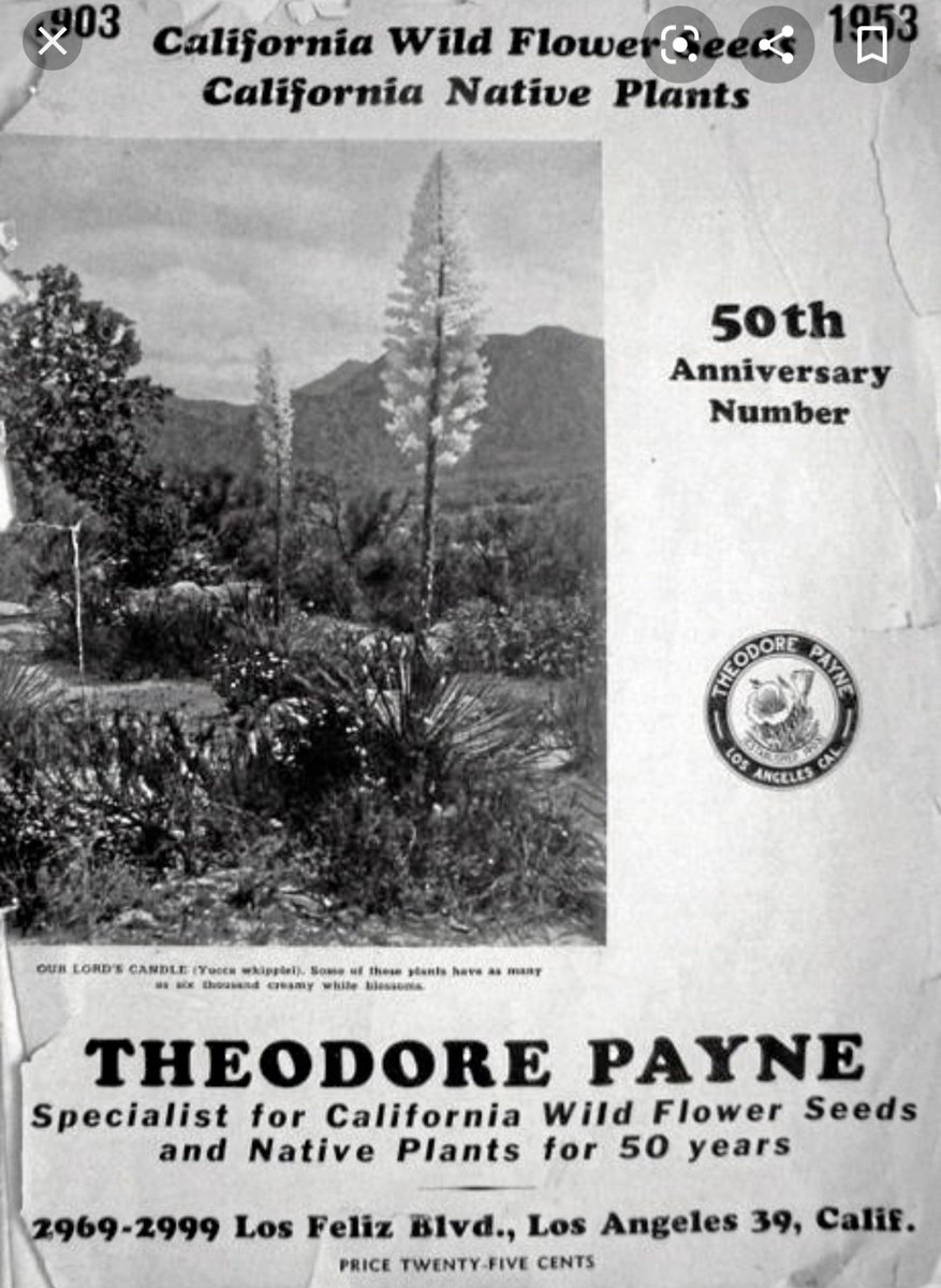 Putting green and tennis courts were built near the top of the area.Landscape architect Theodore Payne was hired to plant wildflowers to beautify the area.Exclusive buses whisked the residents into Hollywood or downtown Los Angeles #Hollywood  #LosAngeles  #California