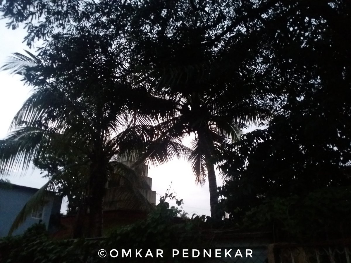 om4mahi's tweet photo. ❤SHOT ON SAMSUNG GALAXY ON 7 PRO❤
#samsung #samsunglovers
#galaxy #samsunggalaxy #samsunggalaxyon7pro #samsungmobile #on7pro #stayapartstaytogether #withgalaxy #AwesomeToday #GetThroughThisTogether #incredibleindia #Pune #India #NOFILTER #NaturePhotography #PhotographyIsArt https://t.co/RVmM2oXv8t