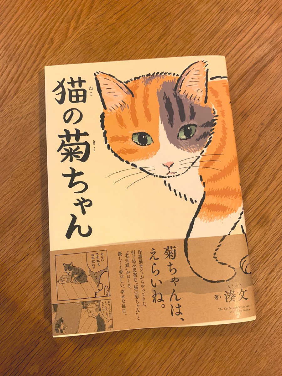 『猫の菊ちゃん』を読んでいる。とてもかわいいし菊ちゃんはとてもえらい。かわいい 
