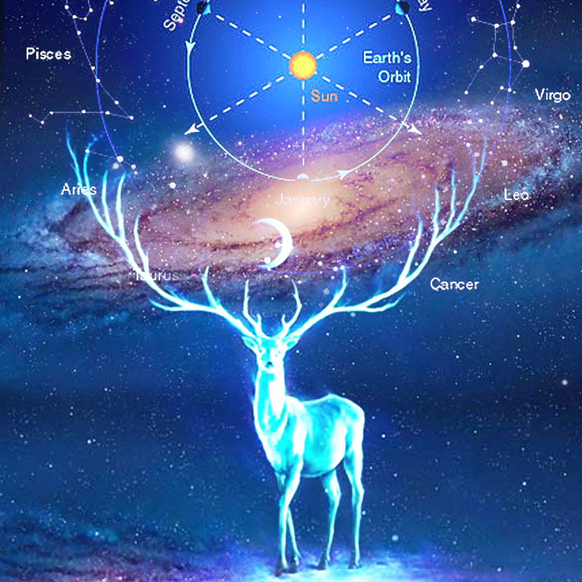 materialistic. Its Ayurvedic Dosha is Kapha. And, being all in the Vedic sign Taurus, its quality is Fixed. The first pada of Rohini is Aries pada, Mars ruled quality brings passionate, impulsive, impatient nature.