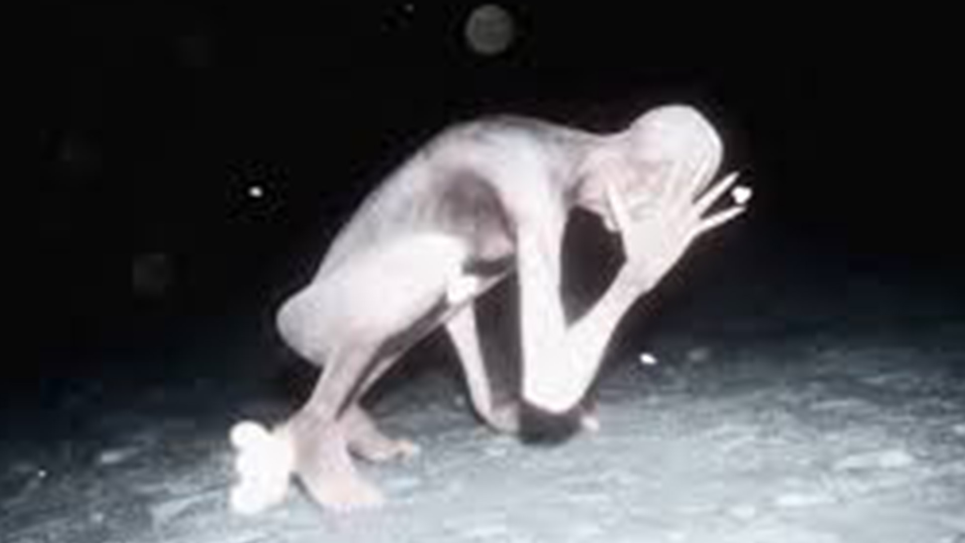 キリン 考察系youtuber 未確認生物と陸軍特殊部隊との大規模戦闘の記録 動画 T Co Mcl5lm713s 138万人記念に歌ってみました たしかlemonだったと思います