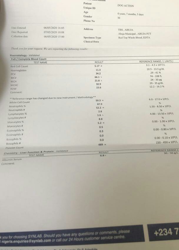 adisa_adedapo's tweet image. Find attached result from the blood work

What is/are Dx?  And why

What further Test(s) should carried out? Why

What treatment line should be followed? Why